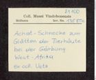 Etikett zu Ausreckmesser (Streichmesser) (NHMW-ZOO-MO-0081100-ETH-135)